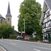 Lindenbaum in Marialinden