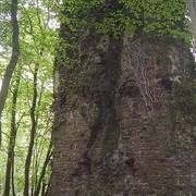 Burgruine Großbernsau