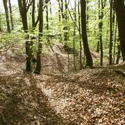 Wallanlage im Wald